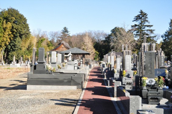 埼玉県さいたま市西区の寺院 清河寺 せいがんじDSC_0183