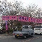 埼玉県越谷市 梅まつり 梅林公園17-03-05-15-21-33-075_photo