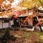 2016年11月28日 埼玉県川口市安行の寺院 興禅院の紅葉DSC_9640