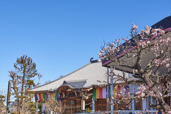 埼玉県上尾市の寺院 遍照院_DSC0060