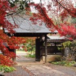 2016年11月28日 埼玉県川口市安行の寺院 興禅院の紅葉DSC_9708