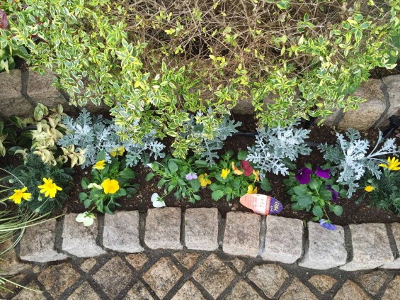 201611 埼玉県の霊園 鴻巣霊園　植栽とお花の植え替えIMG_0092