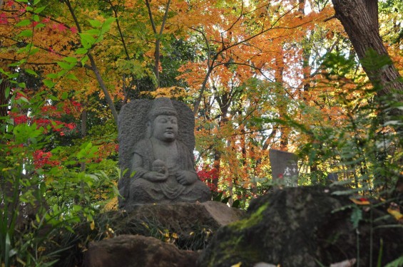 埼玉県川口市安行の寺院 興禅院さまの紅葉 その2 DSC_0026