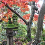 2016年11月28日 埼玉県川口市安行の寺院 興禅院の紅葉DSC_9612