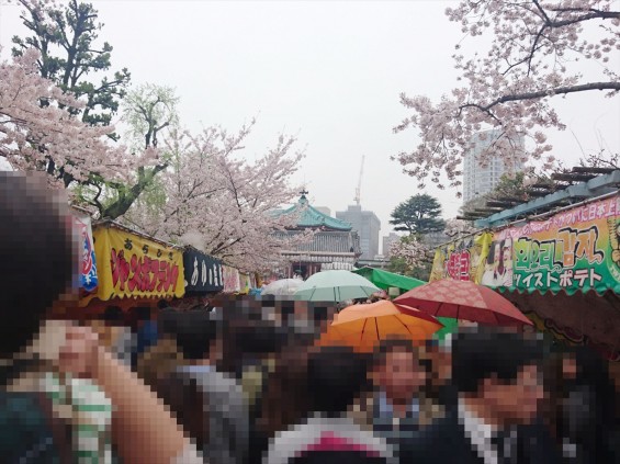 2017年4月8日 東京都立上野恩賜公園 花見 桜 満開 雨の花見 屋台 弁天堂 島 不忍池 17-04-08-14-18-08-942_photo