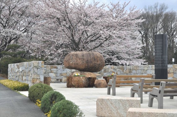 2017年4月 埼玉県東松山市の霊園 昭和浄苑の桜が満開でしたDSC_1215
