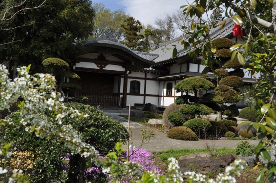 2017年4月12日 埼玉県上尾市の寺院少林寺 客殿入口 DSC_1441