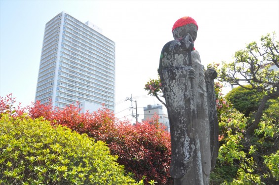 2017年4月14日 上尾市仏教会顧問会総会 今年の会場は遍照院でした 境内の様子 タワーマンションとお地蔵様 DSC_1575