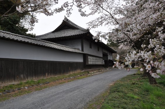 2017年4月 埼玉県熊谷市  幕末の志士 根岸友山 根岸家長屋門 満開の桜DSC_1242