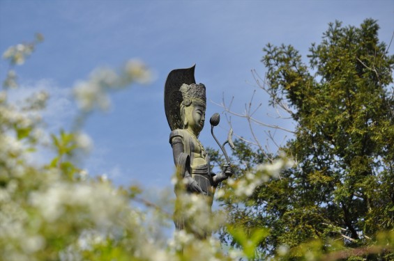 2017年4月12日 埼玉県上尾市の寺院少林寺DSC_1438