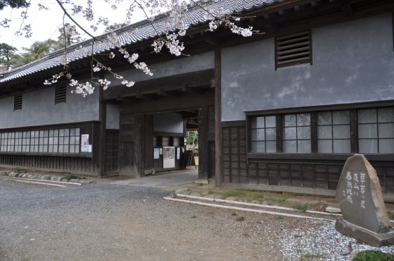 2017年4月 埼玉県熊谷市  幕末の志士 根岸友山 根岸家長屋門 満開の桜DSC_1246