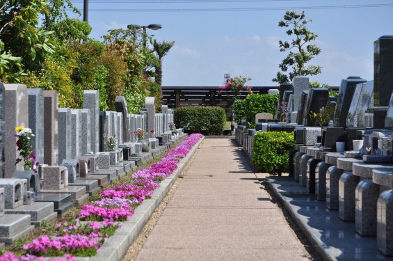 2017年4月19日鴻巣霊園 お墓 墓地 樹木葬 花壇 ガーデンDSC_1865