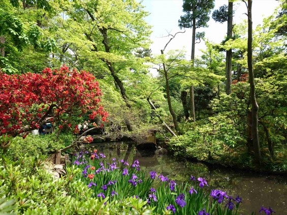 2017年5月 ゴールデンウィーク 東京 南青山 根津美術館 に行ってきました 庭園DSC_6011
