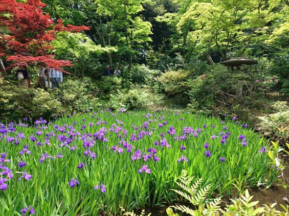 2017年5月 ゴールデンウィーク 東京 南青山 根津美術館 に行ってきました 庭園DSC_6025