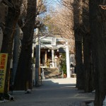 ・日光御成道　川口市鳩ヶ谷　鳩ヶ谷氷川神社①