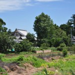 ・20140811　台風一過のレンズ雲　埼玉県北足立郡伊奈町