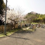 ・静岡市清水区の霊園　メモリアルガーデン清水の桜