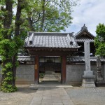 ・龍山院　新緑の無患子（埼玉県上尾市の寺院）