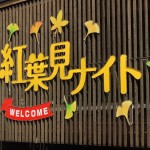 ・国営武蔵丘陵森林公園のコキア&赤ソバ