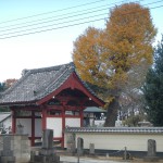 ・埼玉県蓮田市の寺院　妙楽寺から見える紅葉