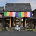 ・埼玉県上尾市の寺院　遍照院の蝋梅(ロウバイ)が綺麗でした