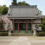 ・埼玉県蓮田市の寺院 秀源寺さまの枝垂れ桜