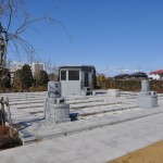 ・埼玉県上尾市の寺院 馬蹄寺のモクレン・枝垂れ梅・開花の八重桜