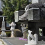 ・埼玉県上尾市の寺院 少林寺の芝桜が綺麗に咲いていました！