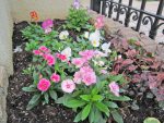 ・桶川霊園の管理事務所からのブログ記事　園内の花々も冬支度です。〈年末年始のお知らせ〉