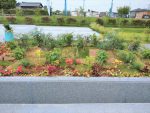 ・久喜清久霊園の管理事務所からのブログ記事　第2期開園と梅雨明けの鉢植えと花壇