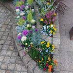 ・鴻巣霊園管理事務所からのブログ記事　花壇の植え替えをしました