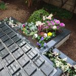 ・川口元郷聖地管理事務所からのブログ記事　樹木葬花壇の植え替えを実施しました