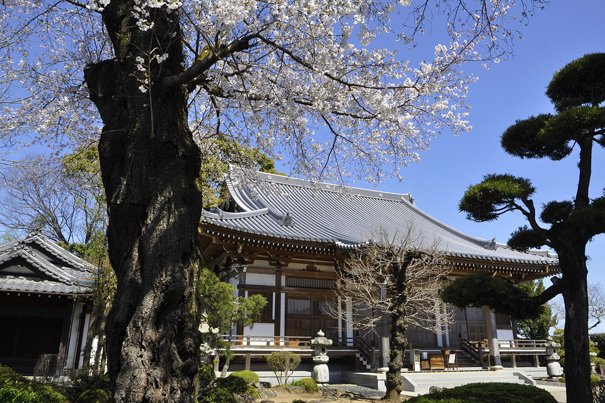 法光寺（ほうこうじ）墓苑