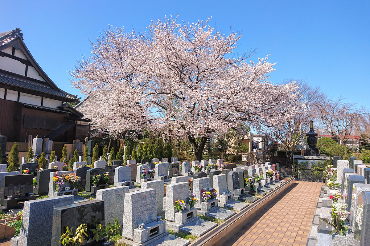 染谷の里 大宮 四季彩霊苑